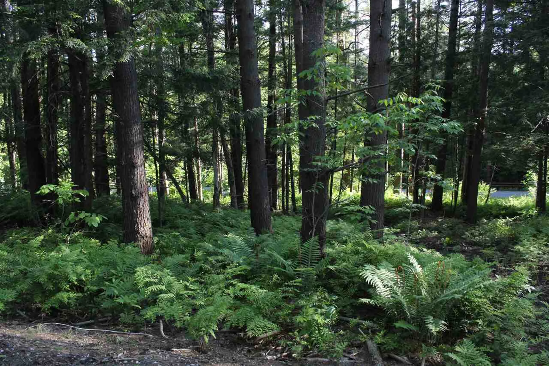 00 Barberry Hill Road Woodstock VT 05091
