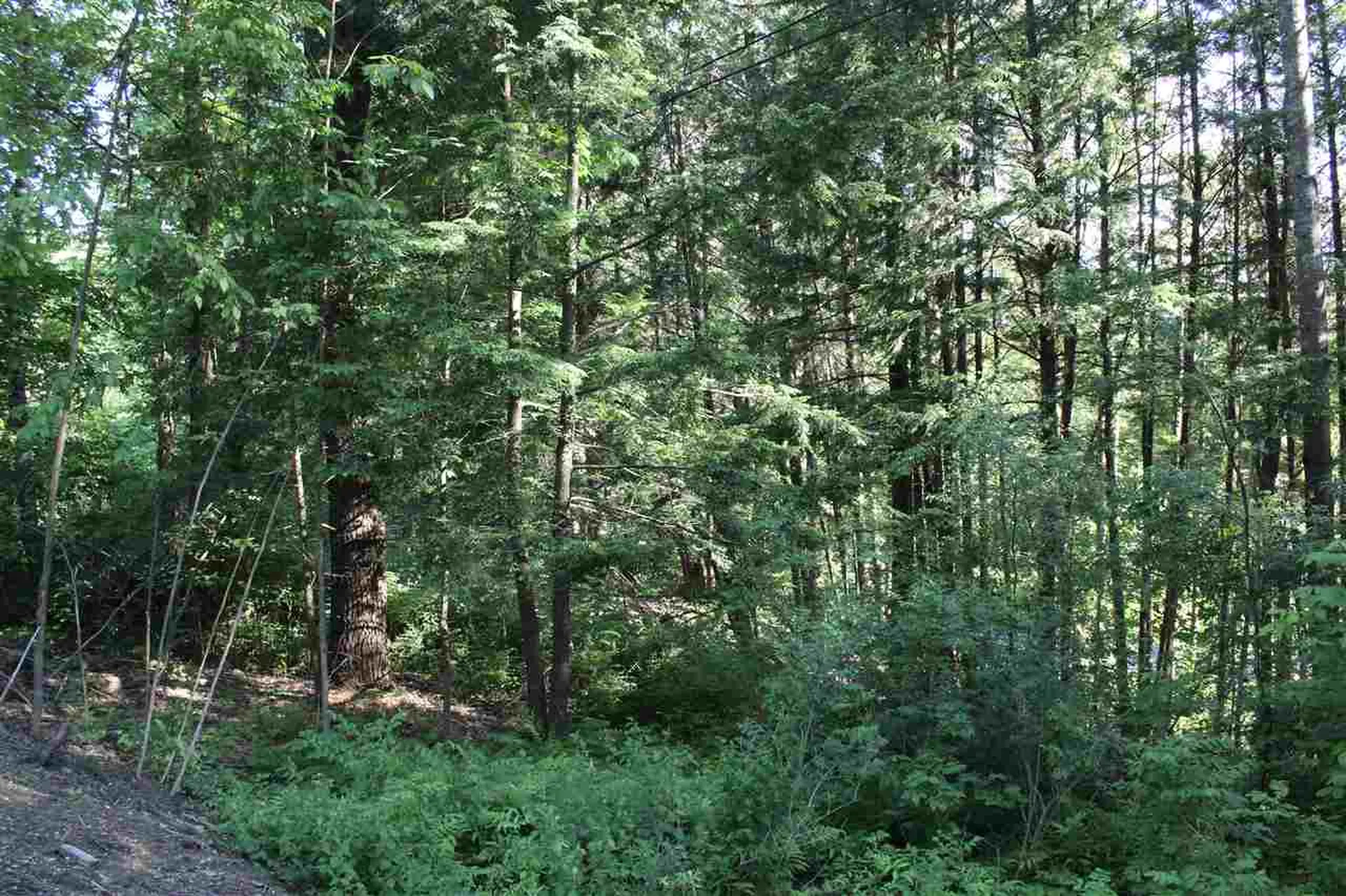 00 Barberry Hill Road Woodstock VT 05091