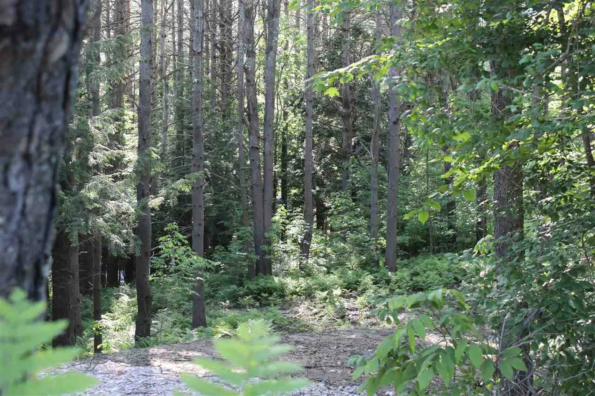 00 Barberry Hill Road Woodstock VT 05091