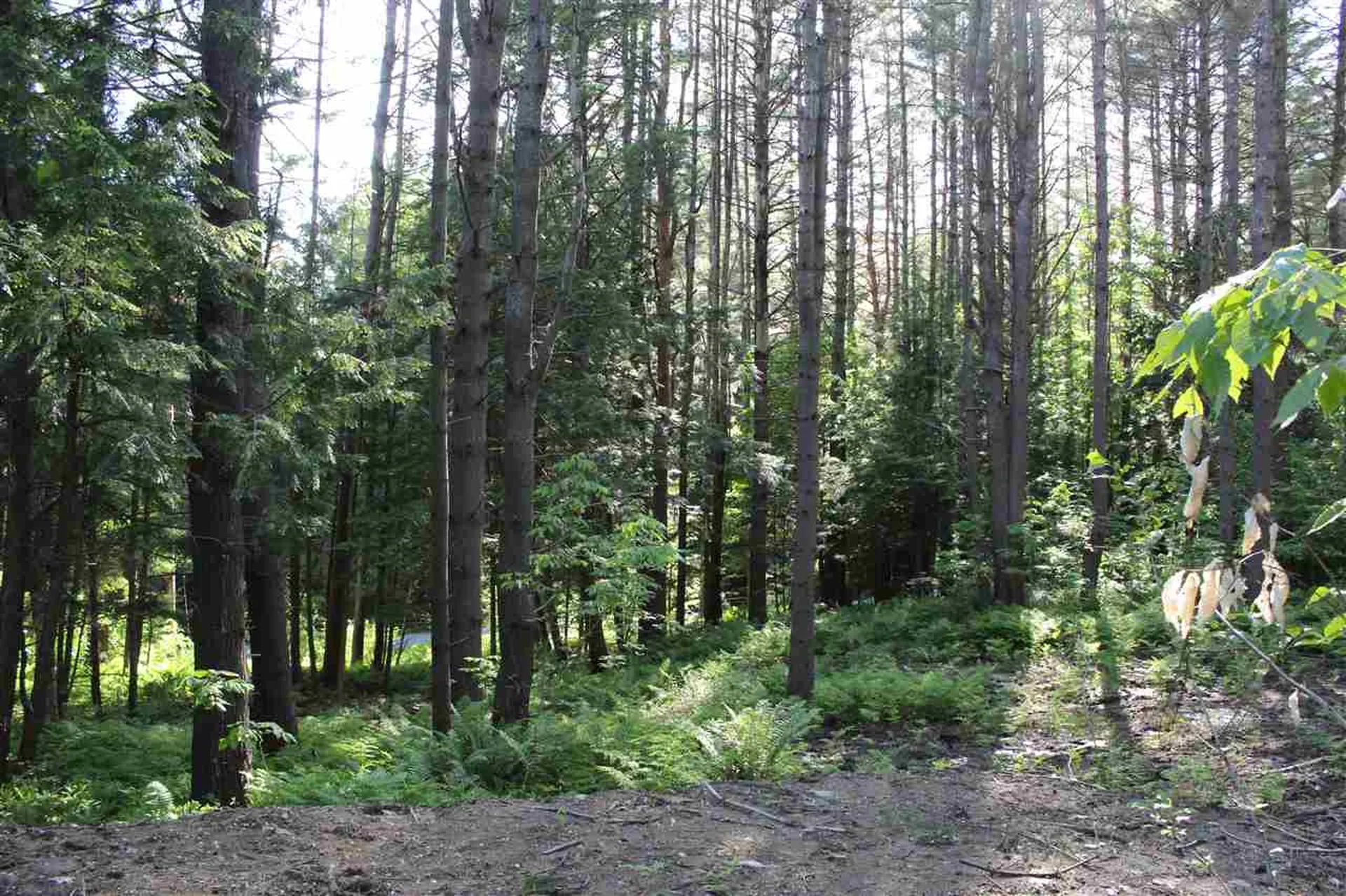 00 Barberry Hill Road Woodstock VT 05091