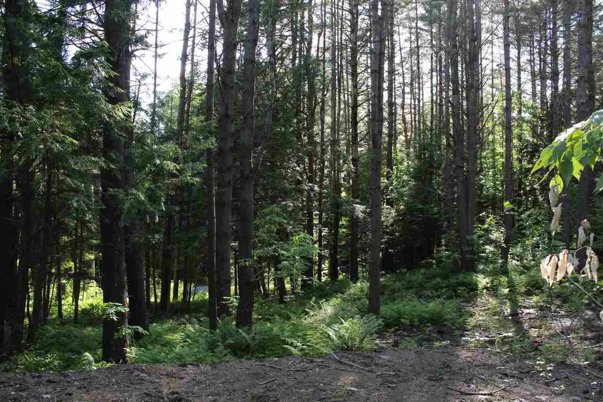 00 Barberry Hill Road Woodstock VT 05091