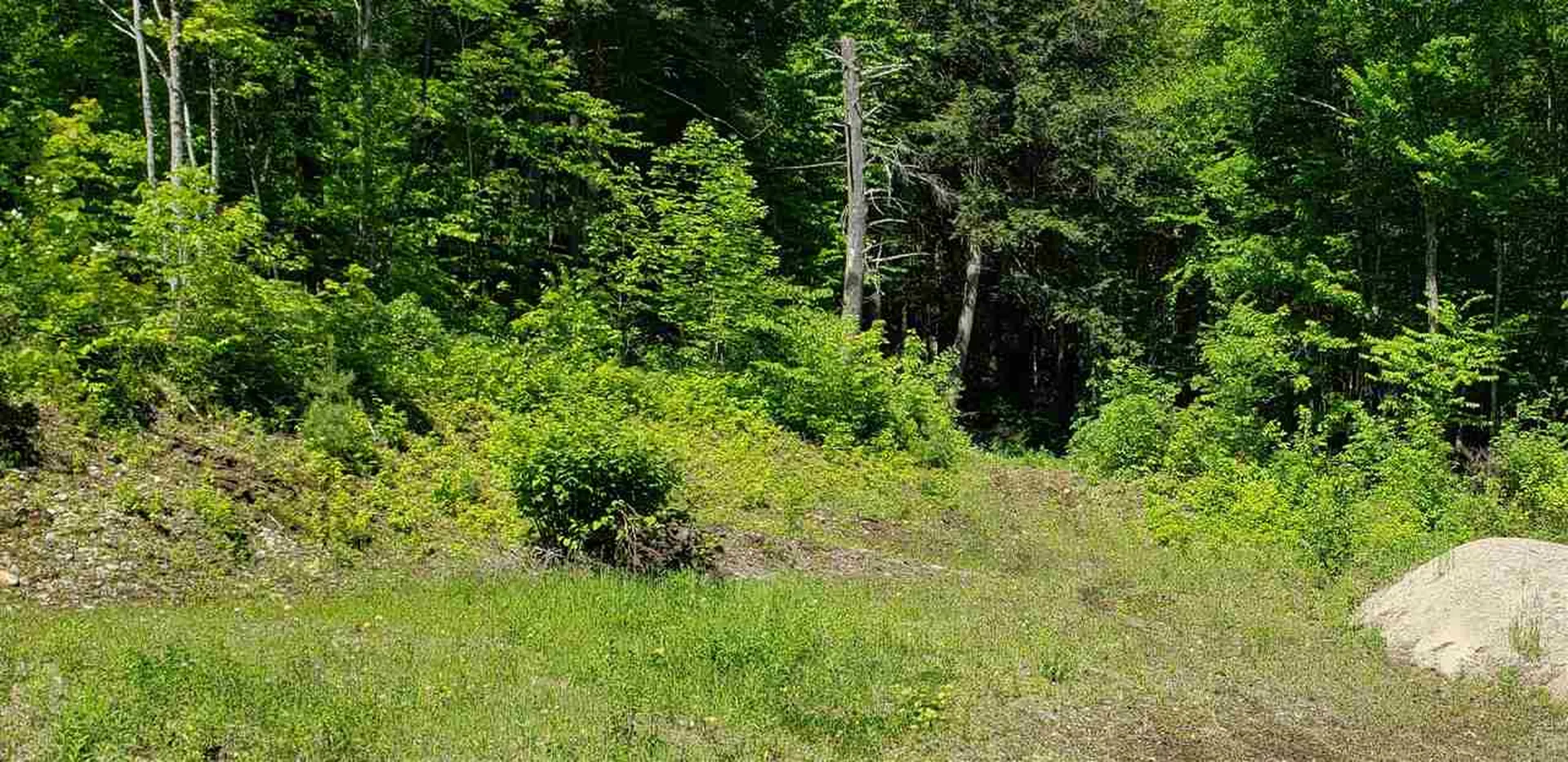 0 Vt Route 25 Corinth VT 05040