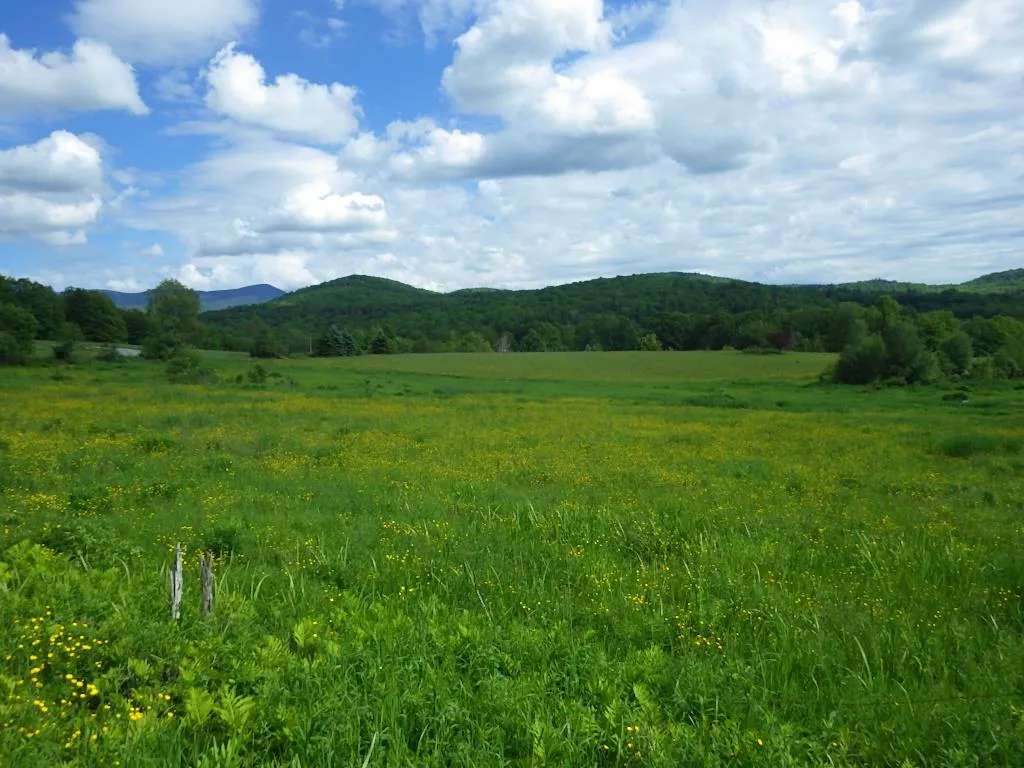 570 Robert Young Road Starksboro VT 05487