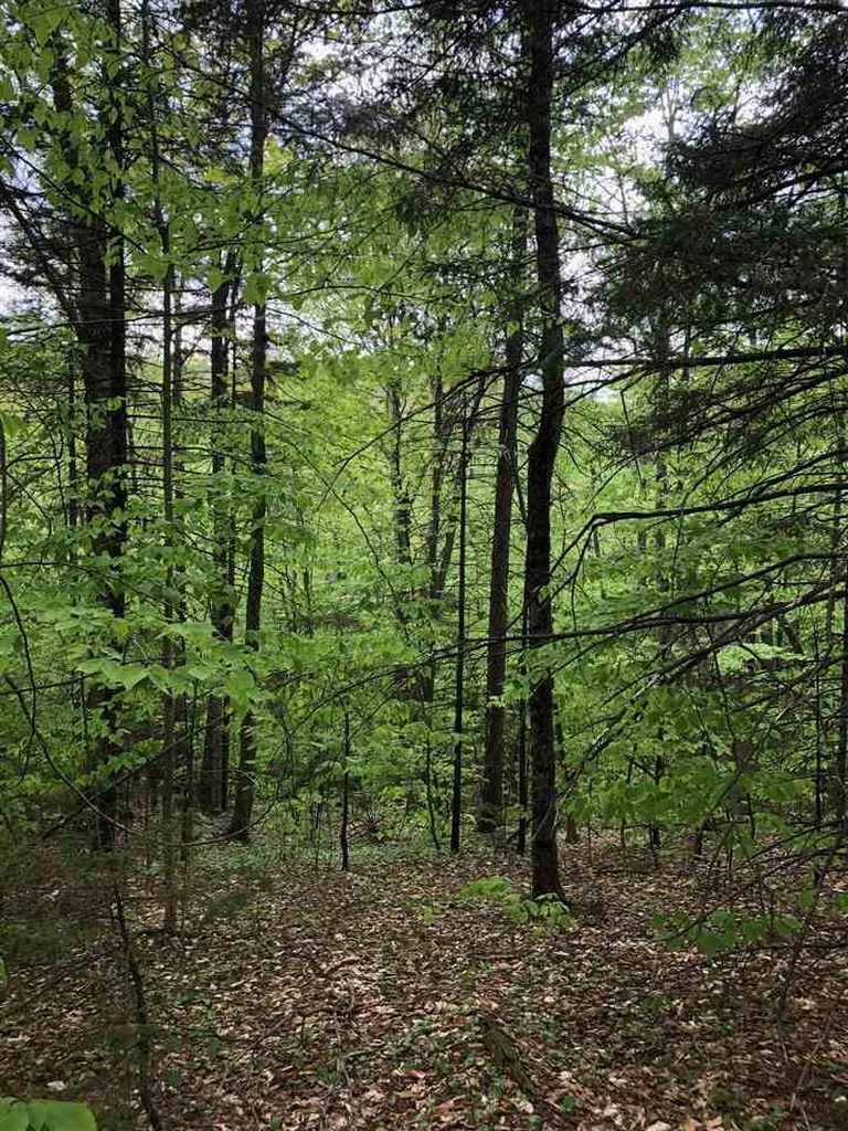 00 Morgan Road Barnard VT 05031