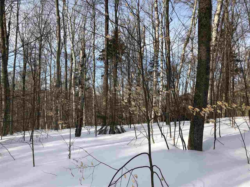 00 Morgan Road Barnard VT 05031