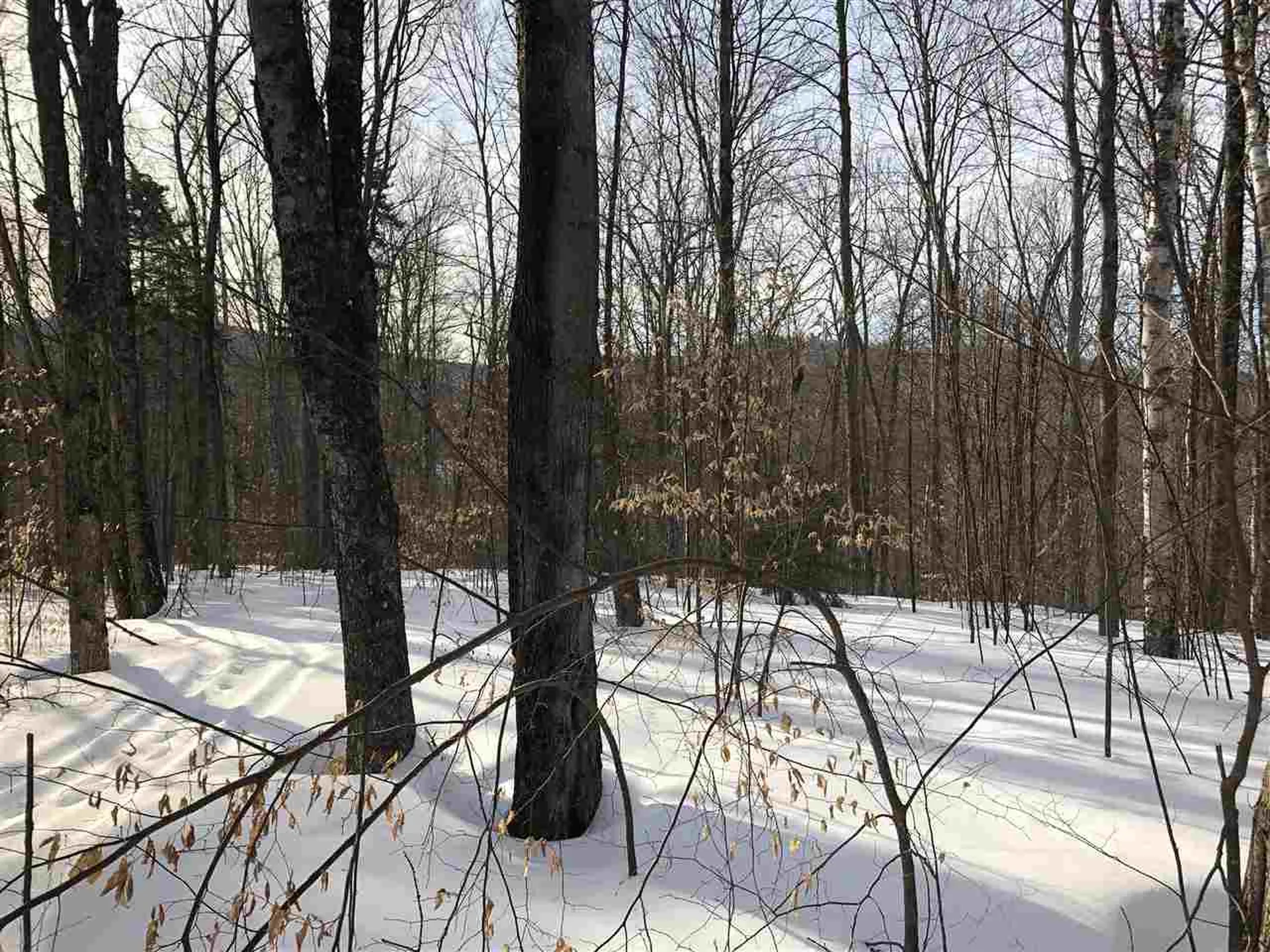 00 Morgan Road Barnard VT 05031