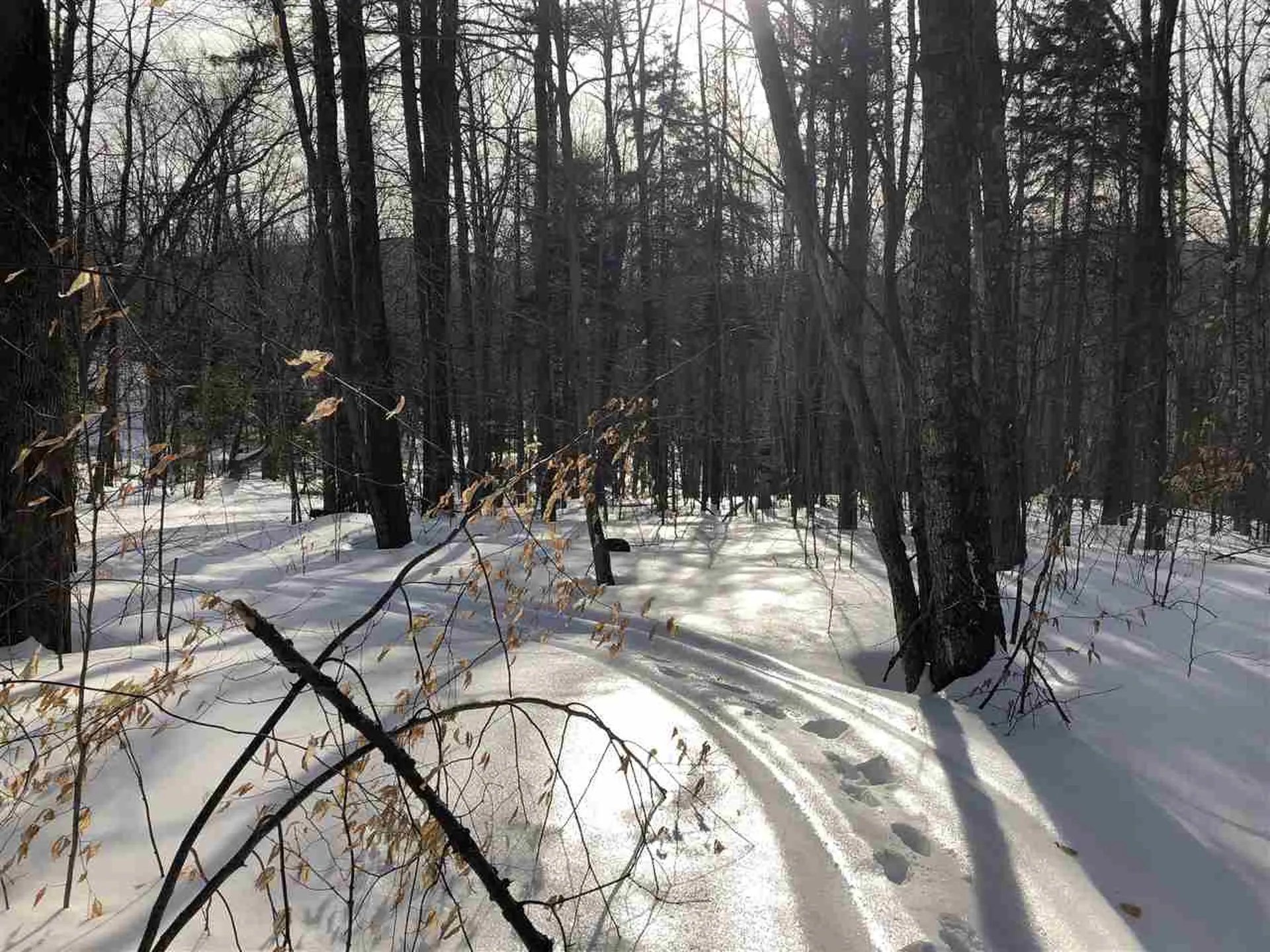 00 Morgan Road Barnard VT 05031