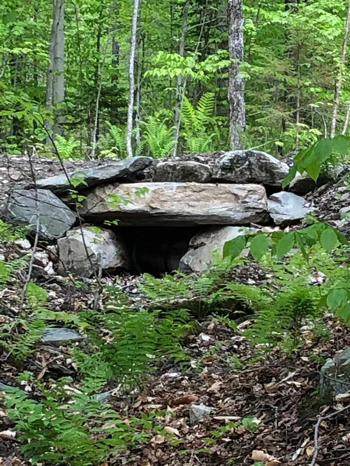 00 Morgan Road Barnard VT 05031