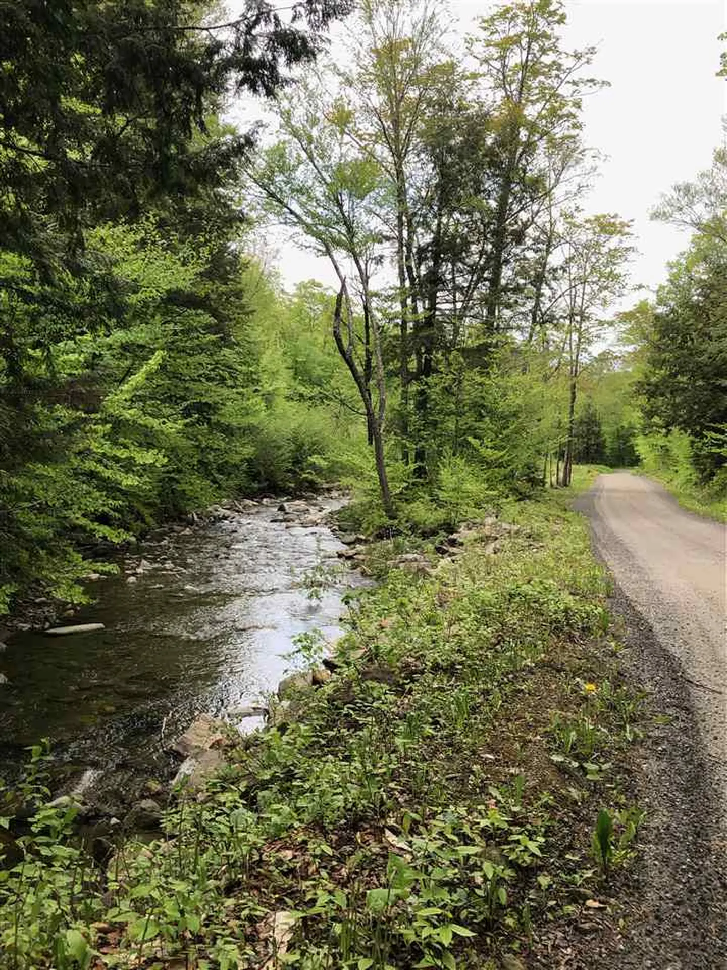 00 Morgan Road Barnard VT 05031