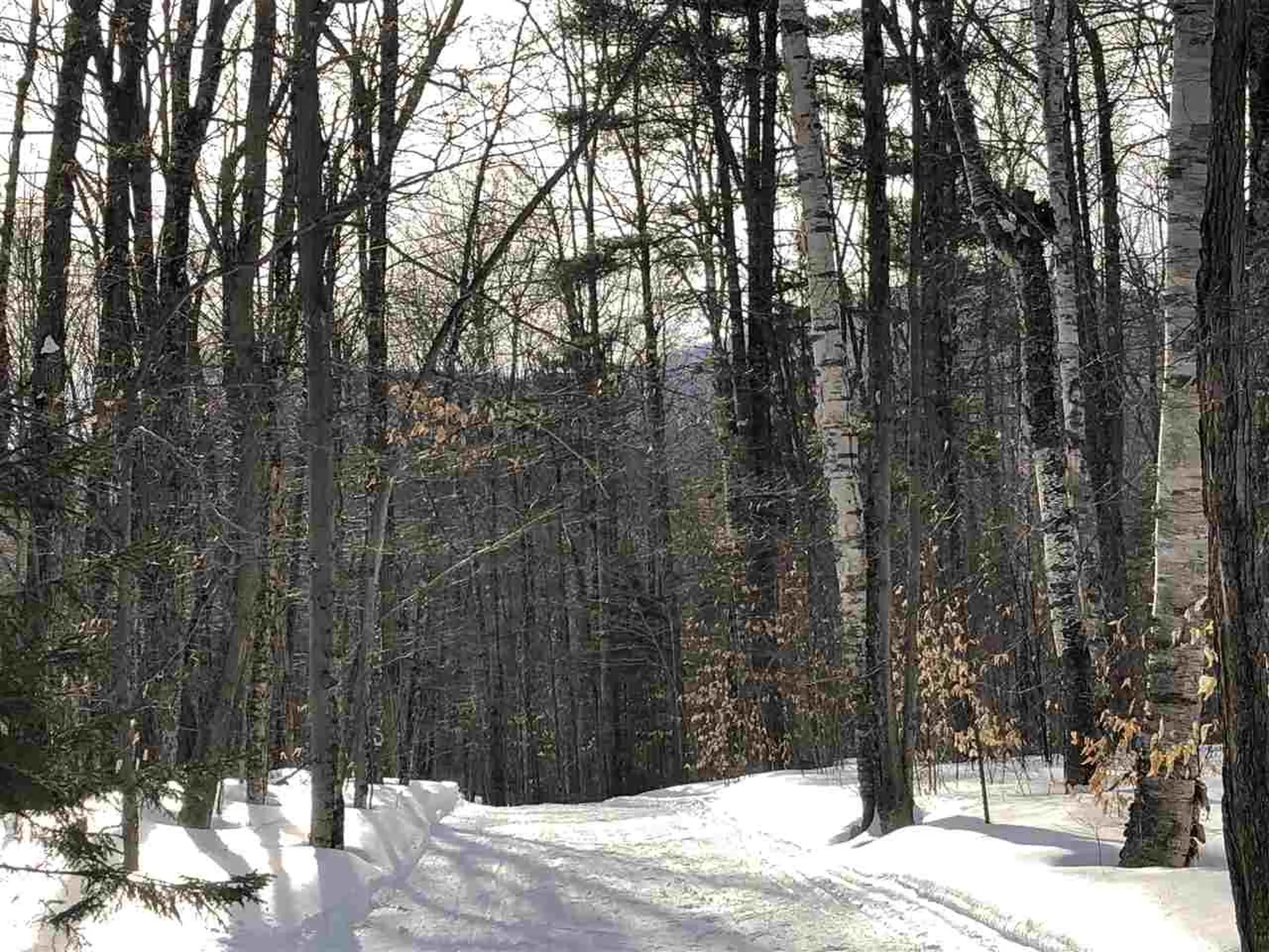 00 Morgan Road Barnard VT 05031