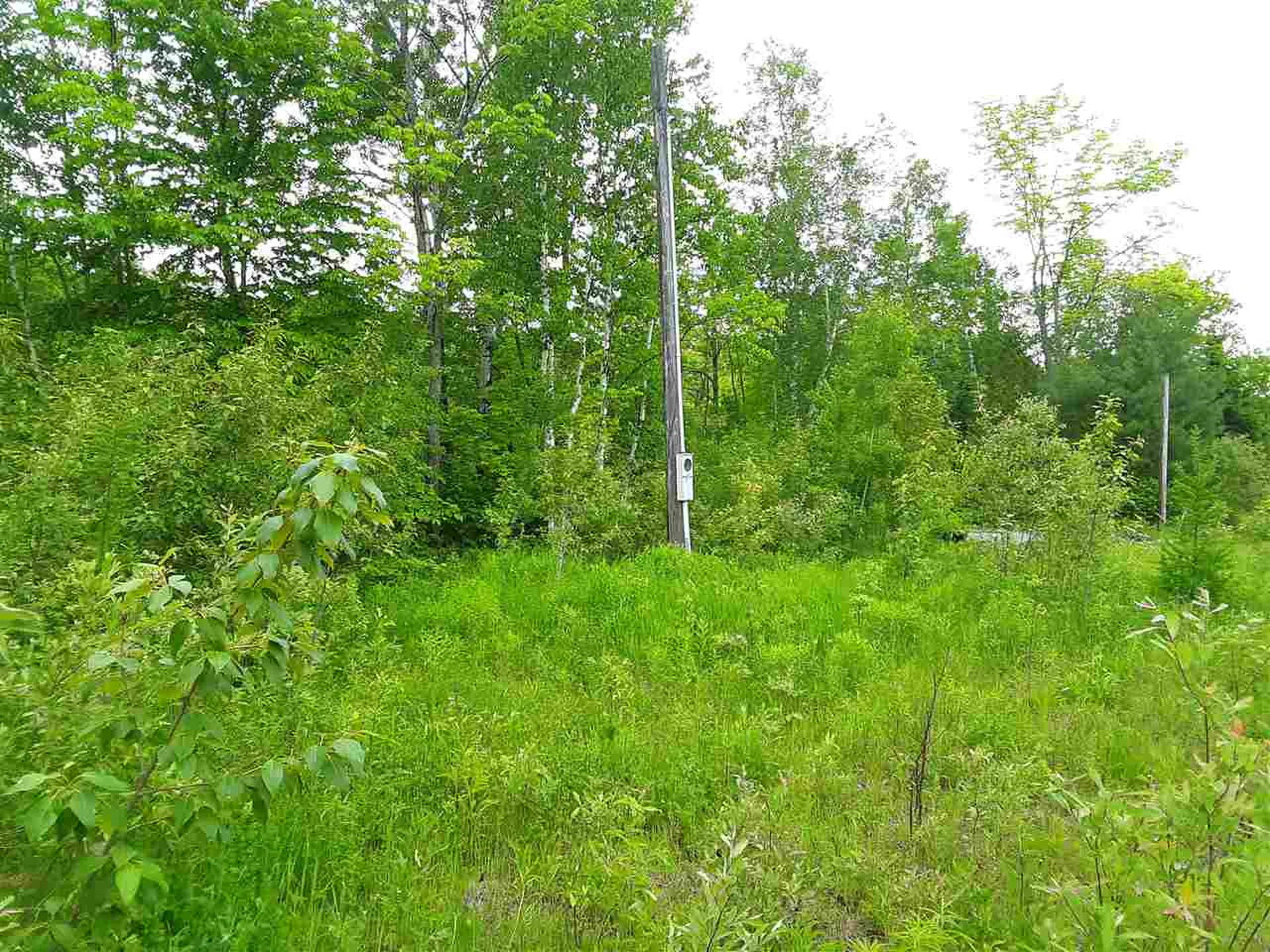 55 Mill Lane Barton VT 05822