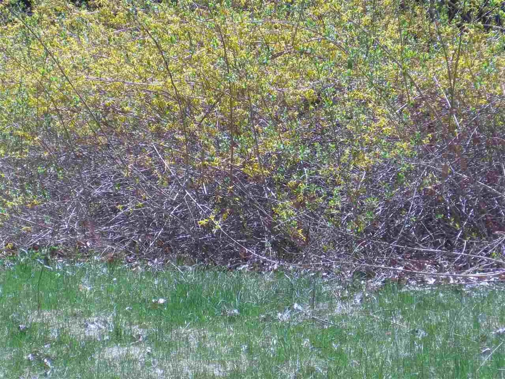 144 Wednesday Hill Road Lee NH 03861
