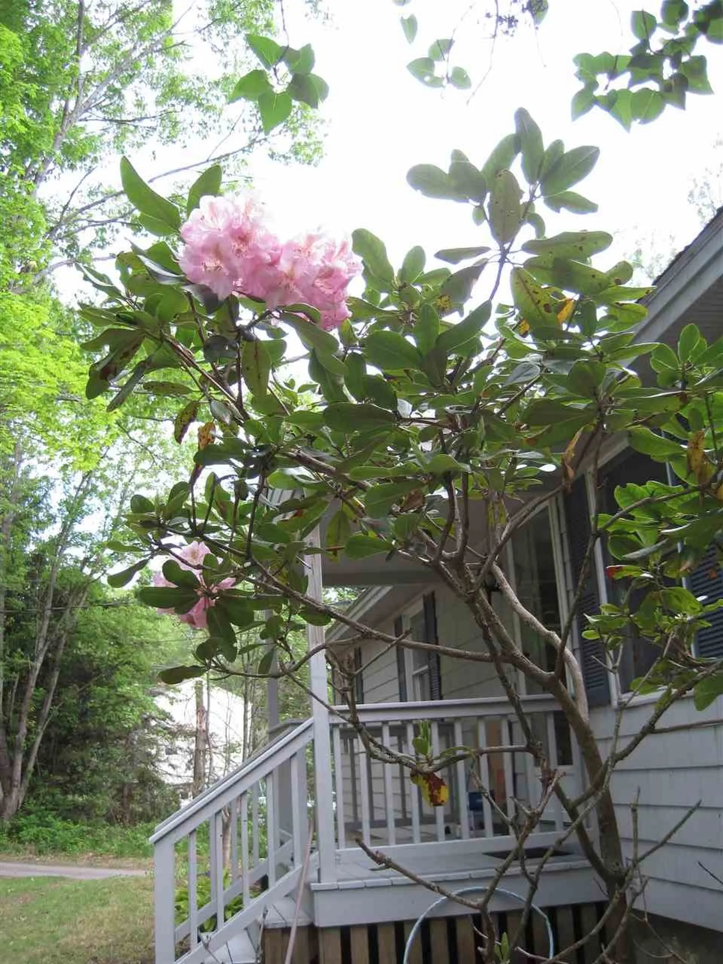 144 Wednesday Hill Road Lee NH 03861