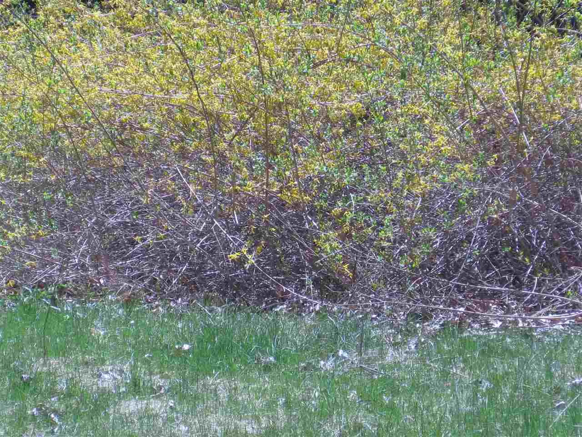 144 Wednesday Hill Road Lee NH 03861