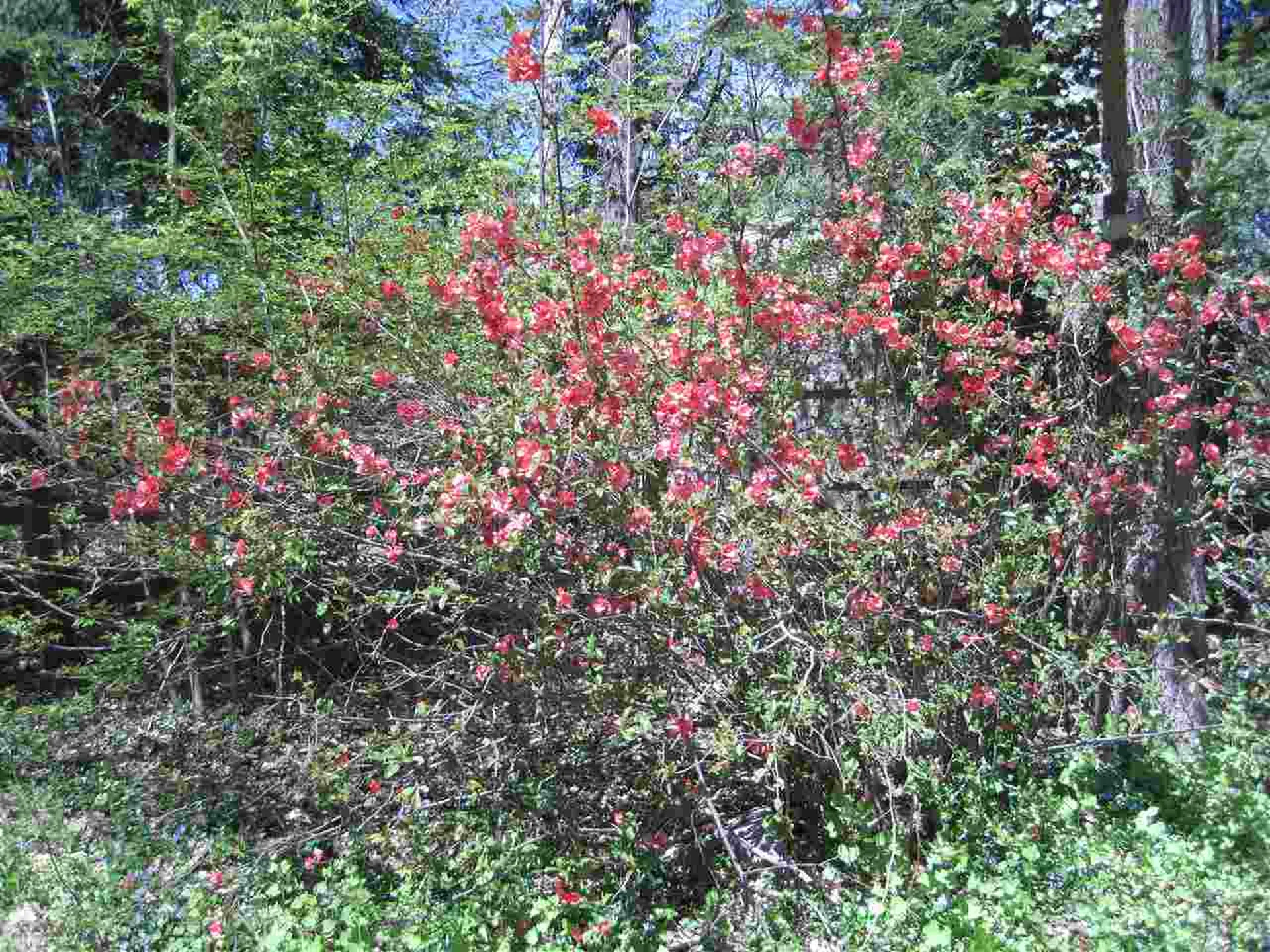 144 Wednesday Hill Road Lee NH 03861