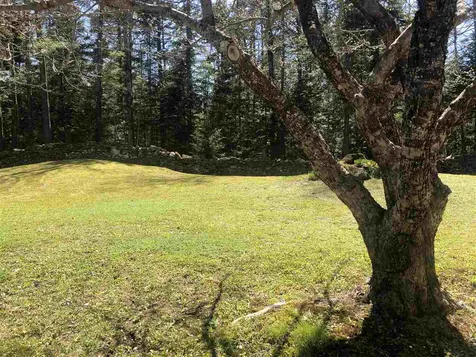 1079 Rabbit Hollow Road Northfield VT 05663