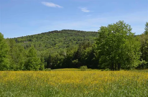 1309 South Hill Road Ludlow VT 05149