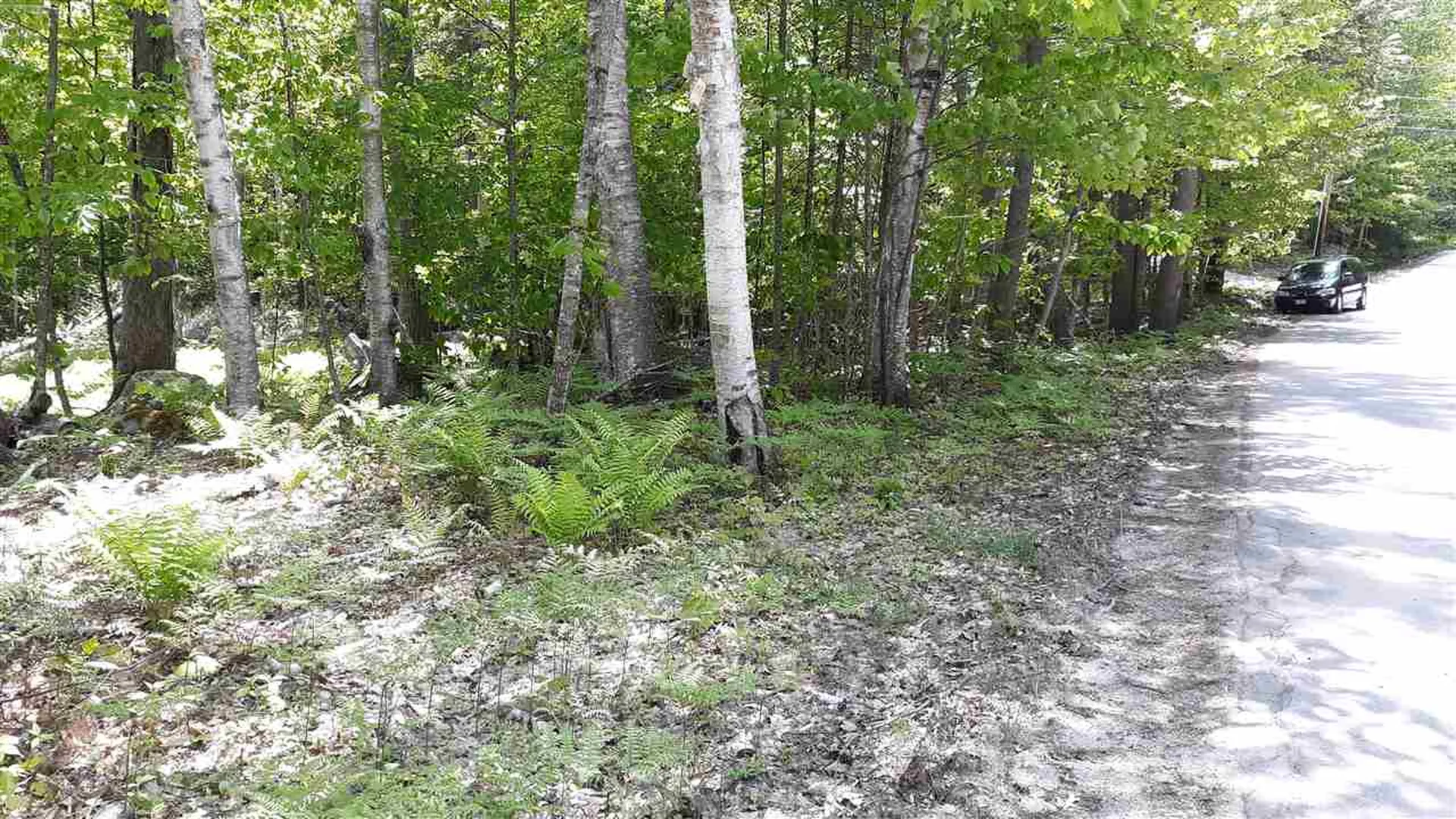 0 Briar Road Bridgton ME 04009