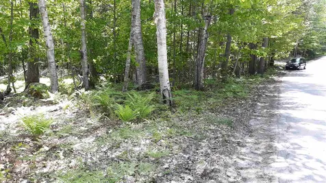 0 Briar Road Bridgton ME 04009