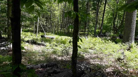 0 Briar Road Bridgton ME 04009