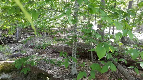 0 Briar Road Bridgton ME 04009