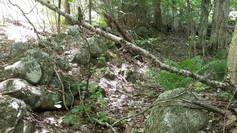 0 Briar Road Bridgton ME 04009