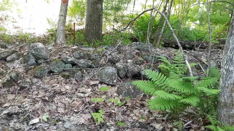 0 Briar Road Bridgton ME 04009