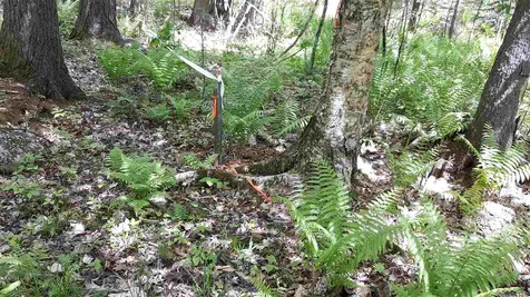 0 Briar Road Bridgton ME 04009