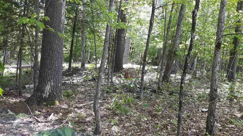 0 Briar Road Bridgton ME 04009