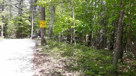 0 Briar Road Bridgton ME 04009