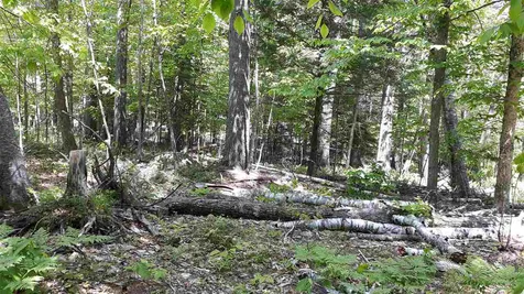 0 Briar Road Bridgton ME 04009