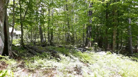 0 Briar Road Bridgton ME 04009