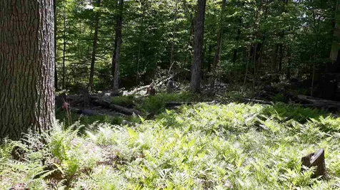 0 Briar Road Bridgton ME 04009