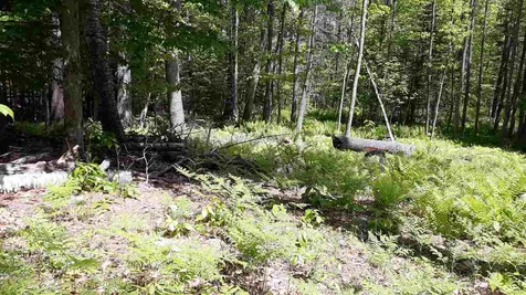 0 Briar Road Bridgton ME 04009