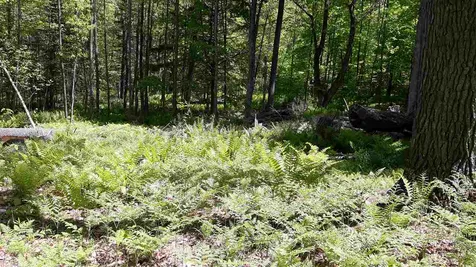 0 Briar Road Bridgton ME 04009