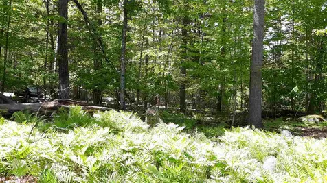 0 Briar Road Bridgton ME 04009