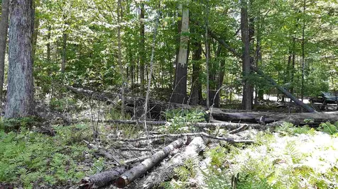 0 Briar Road Bridgton ME 04009