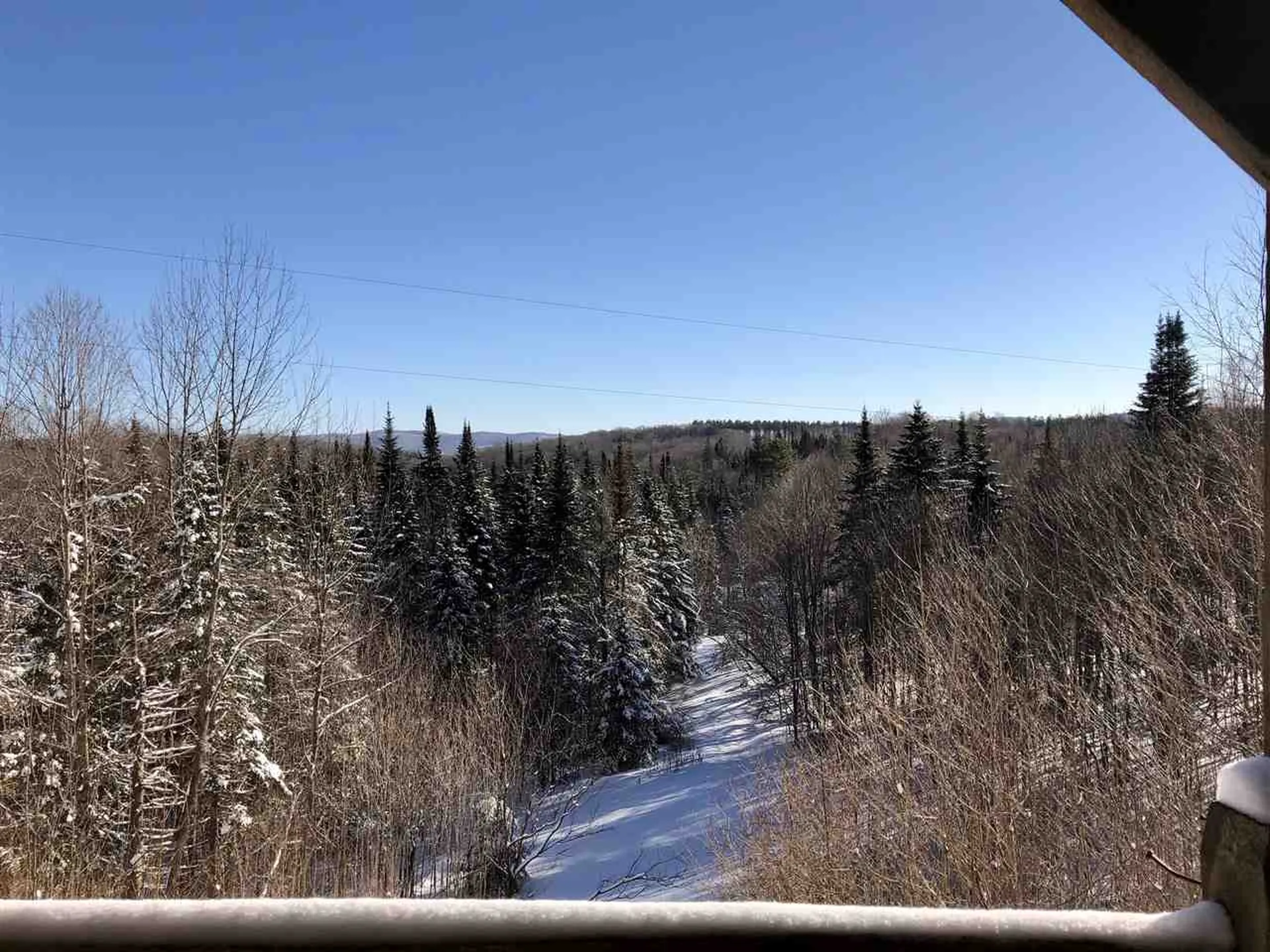 2393 Tower Road Williamstown VT 05679