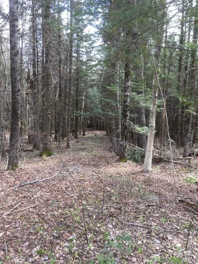 Route 30 S/s Road Winhall VT 05340