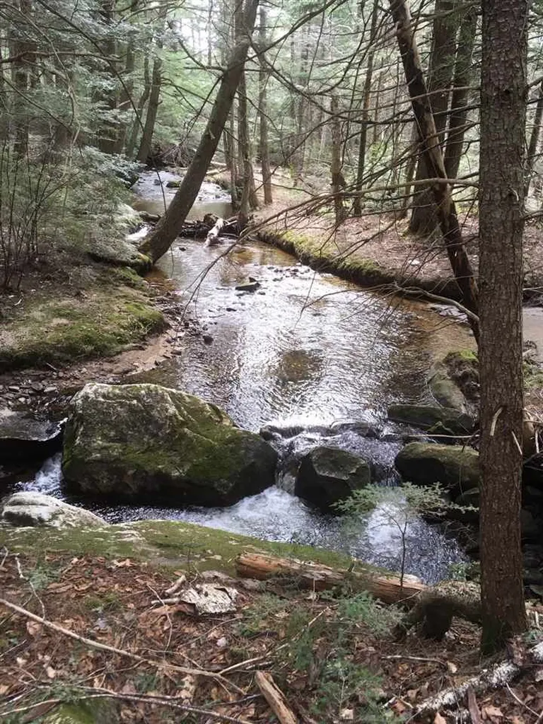 Route 30 S/s Road Winhall VT 05340