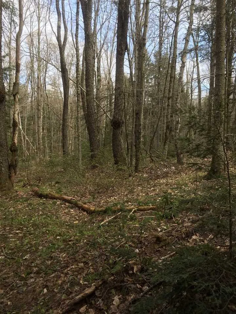 Route 30 S/s Road Winhall VT 05340