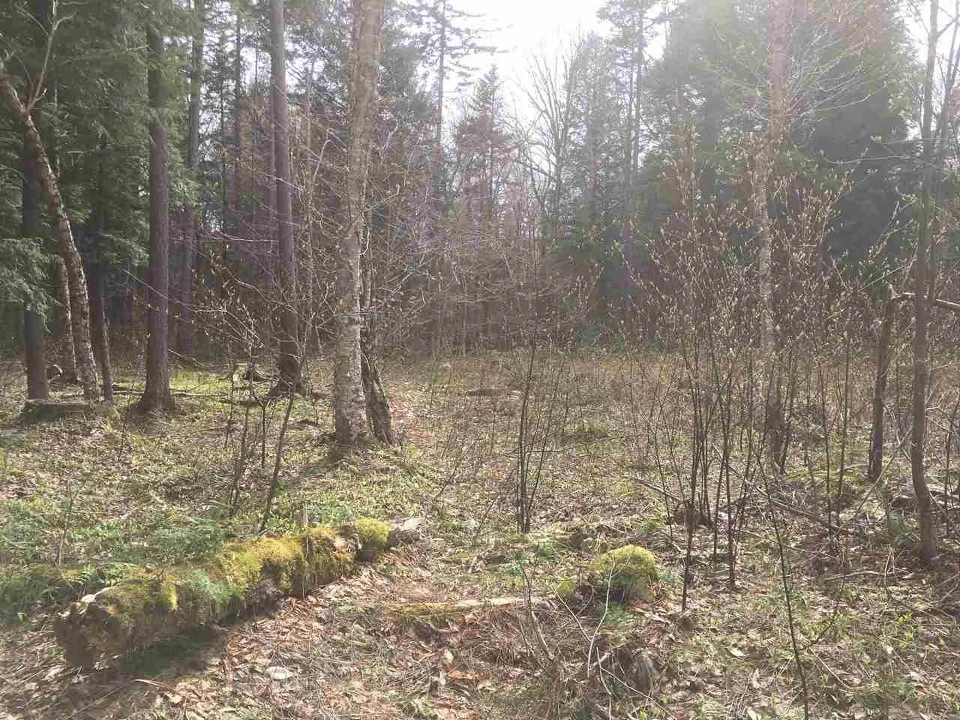 Route 30 S/s Road Winhall VT 05340