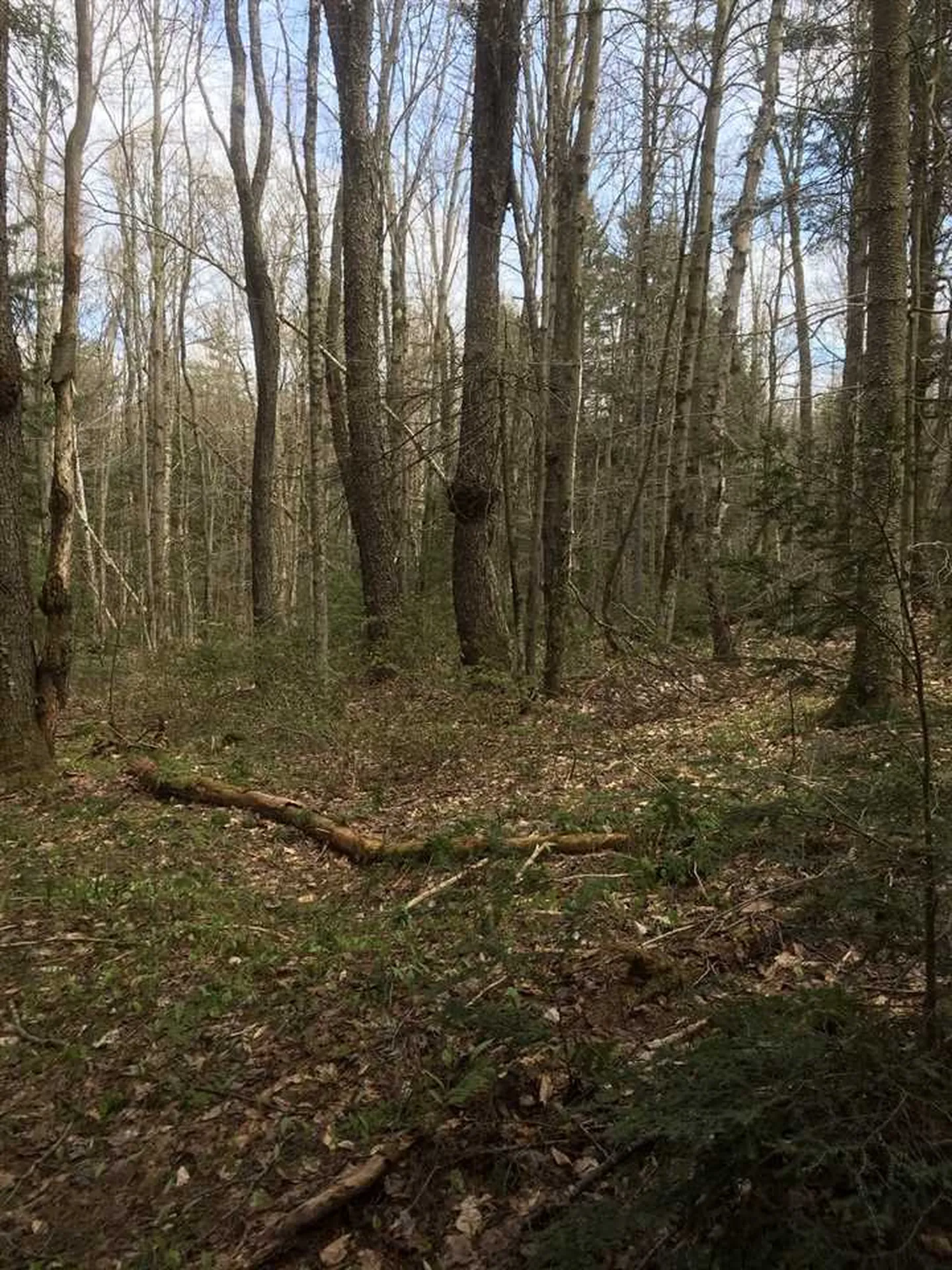 Route 30 S/s Road Winhall VT 05340