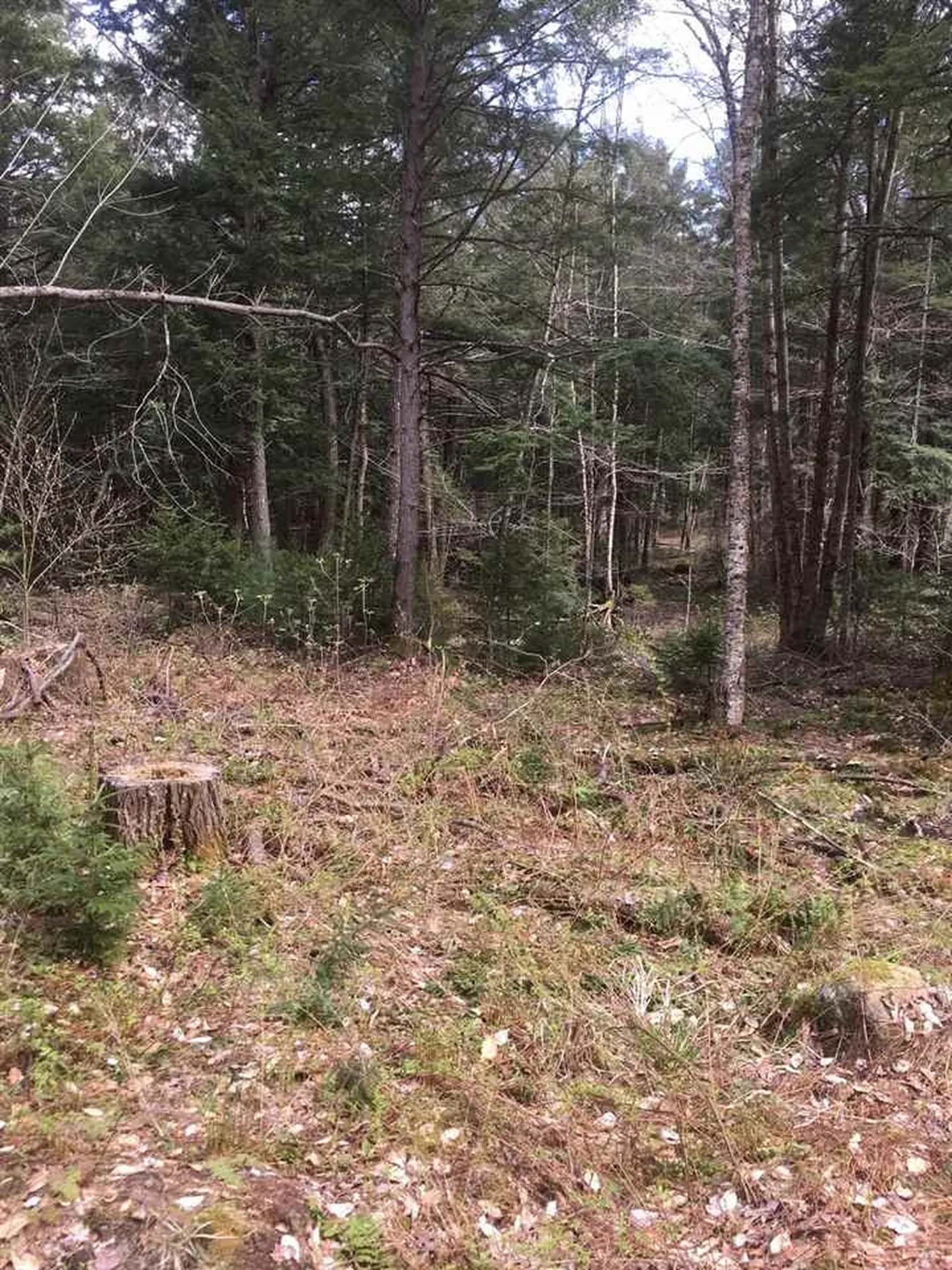 Route 30 S/s Road Winhall VT 05340