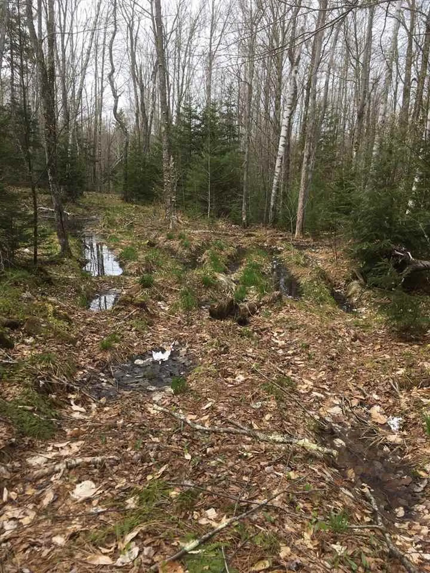 Route 30 S/s Road Winhall VT 05340