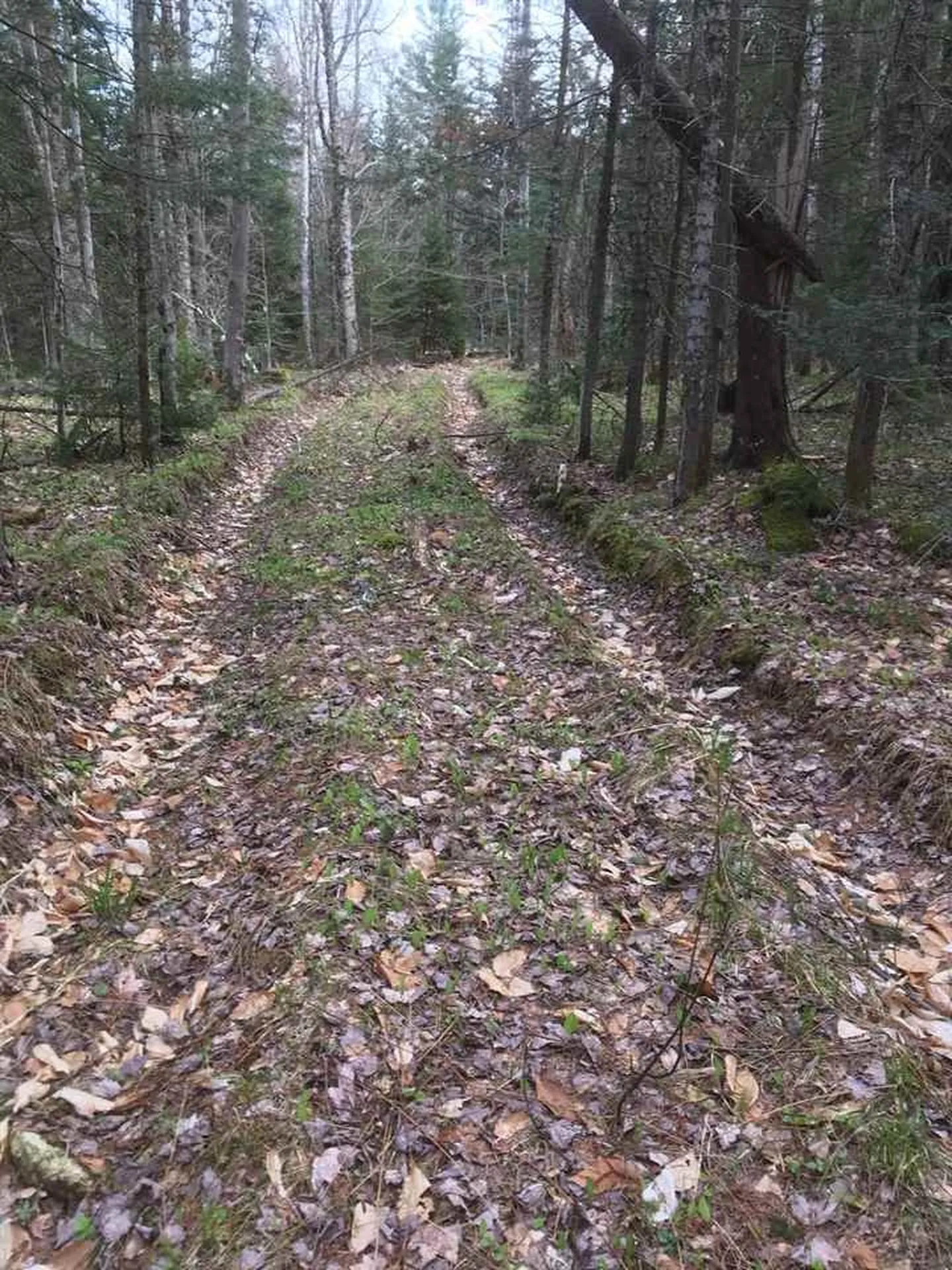 Route 30 S/s Road Winhall VT 05340