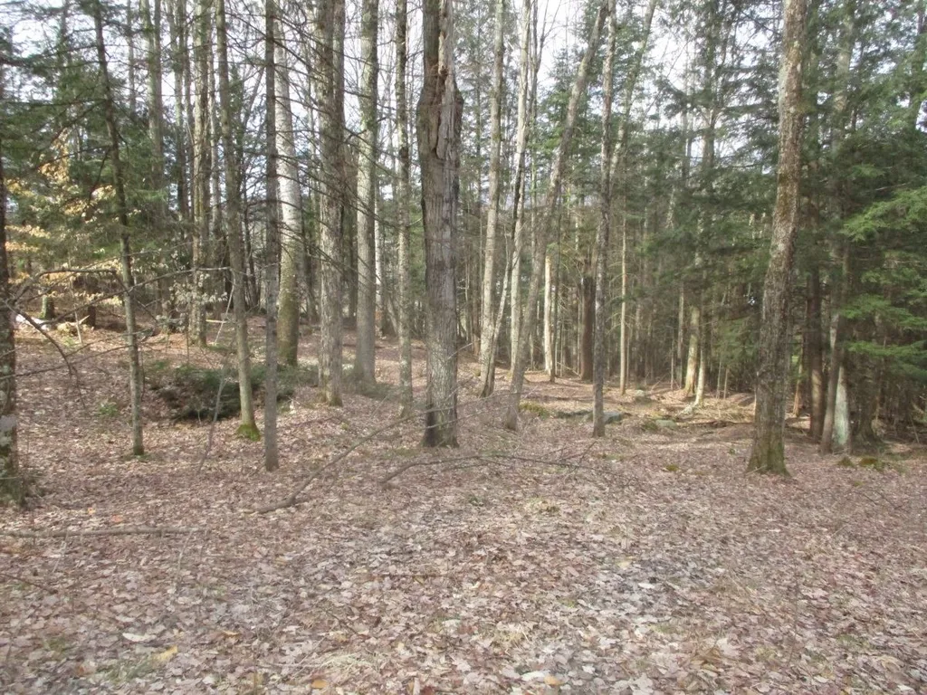 Lot 8 Sugar Ridge Lane Hyde Park VT 05655