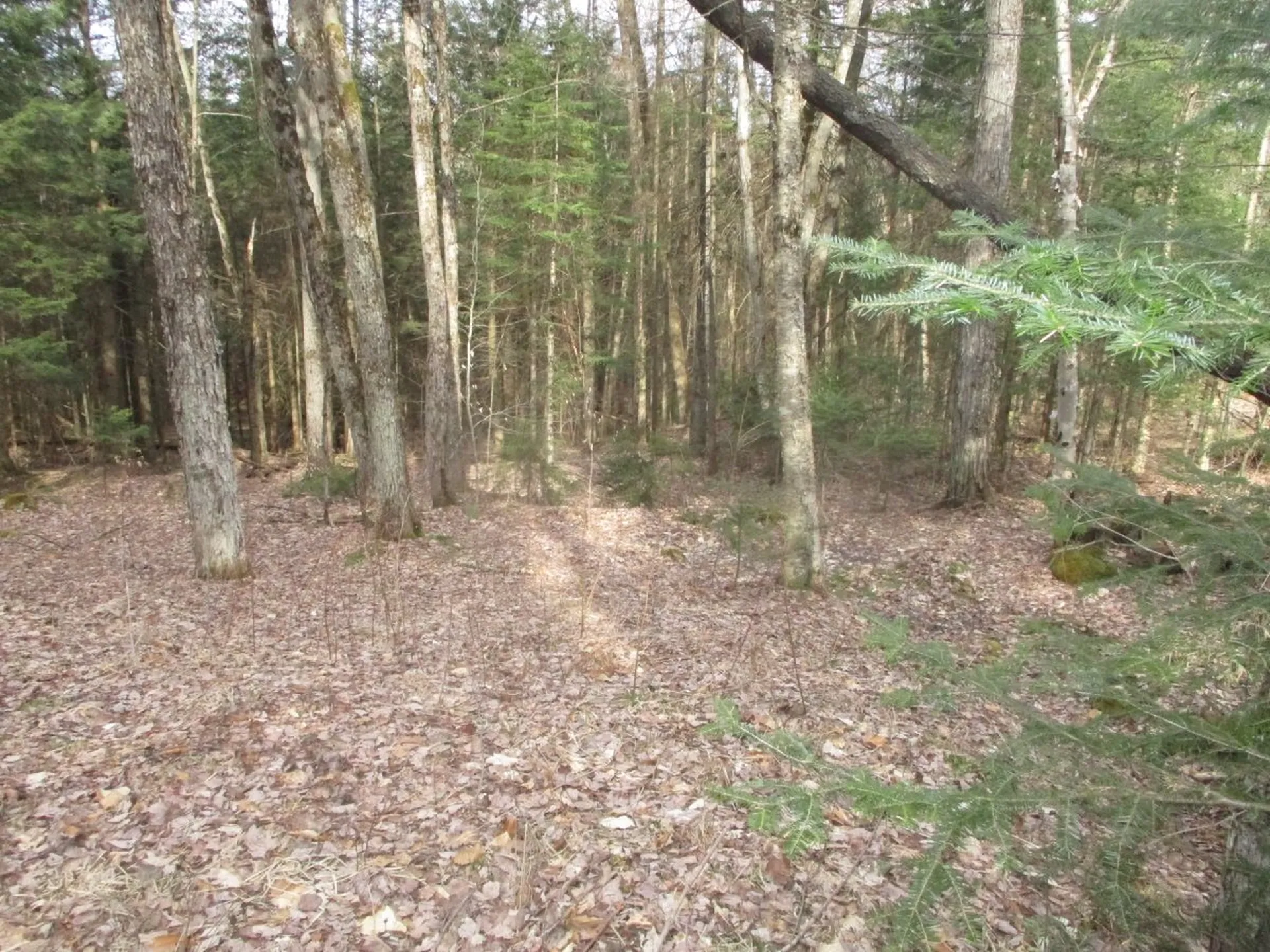 Lot 8 Sugar Ridge Lane Hyde Park VT 05655
