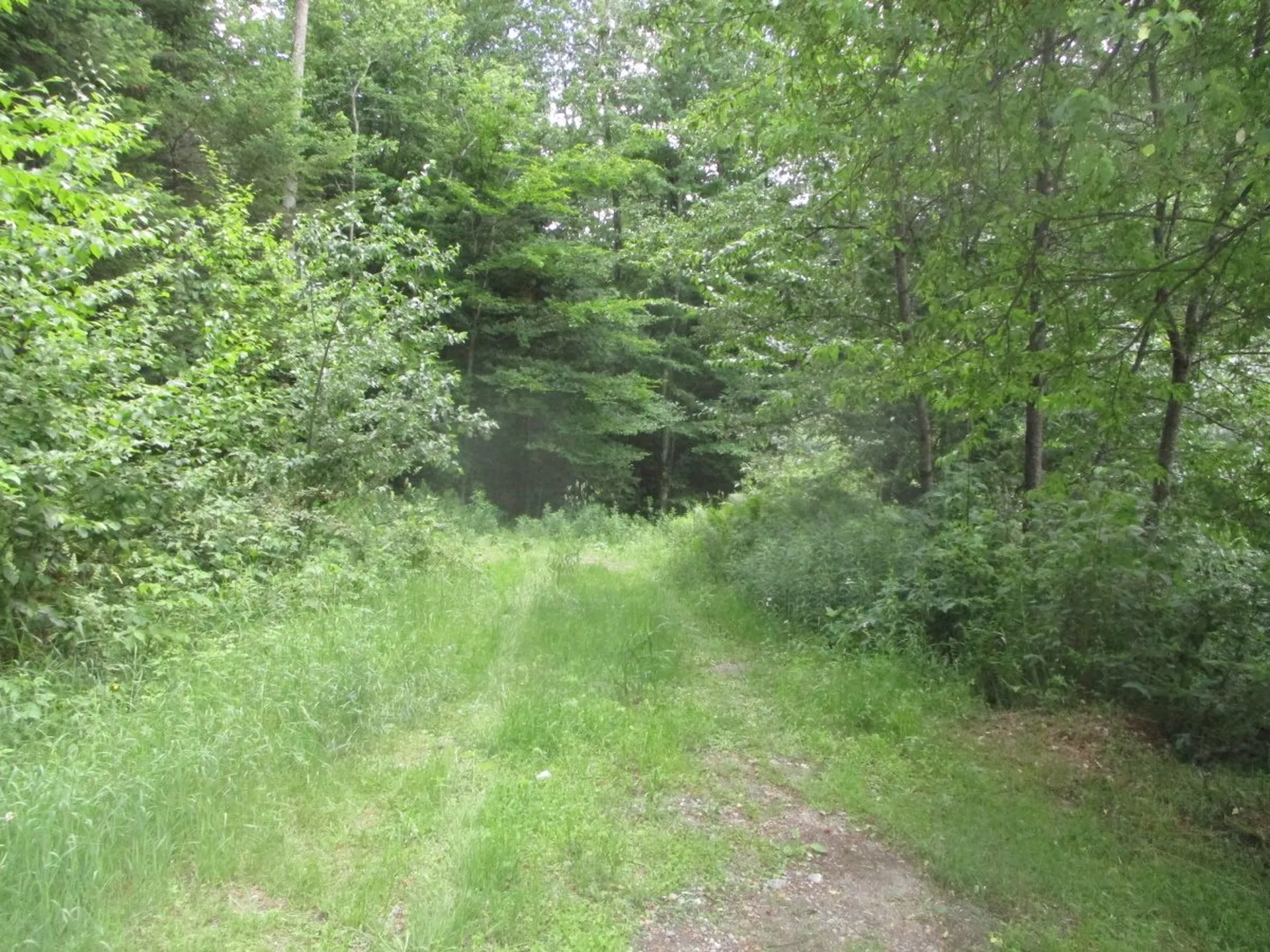 Lot 8 Sugar Ridge Lane Hyde Park VT 05655