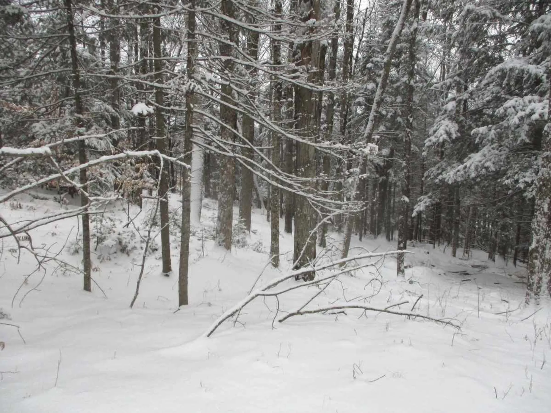 Lot 8 Sugar Ridge Lane Hyde Park VT 05655